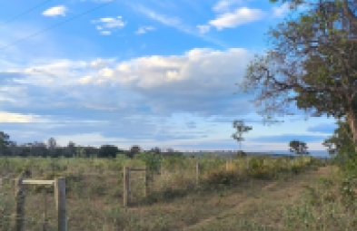 Fazenda para venda em Três Marias