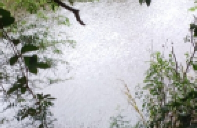 Fazenda para venda em Vale do Jequitinhonha