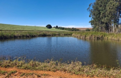 Fazenda para venda em Itaporanga